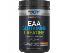 Bigjoy Sports EAA+Glutamine+Creatine 480 Gr