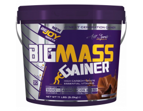 Bigjoy Sports Big Mass Gainer 5000 Gr - Çikolata