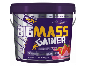 Bigjoy Sports Big Mass Gainer 5000 Gr - Çilek