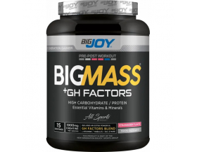 BigJoy Sports Big Mass +GH Factors 1500 Gr - Çilek