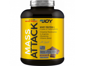 Bigjoy Sports Mass Attack 3000 Gr