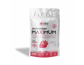 Ingobio Mass Gainer Maximum CARB 510 Gr