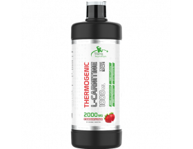  Torq Nutrition Thermogenic L-Carnitine 1000 ml - Çilek