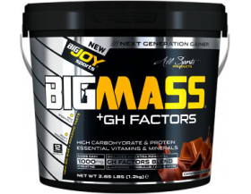 BigJoy Sports Big Mass +GH Factors 1200 Gr - Çikolata