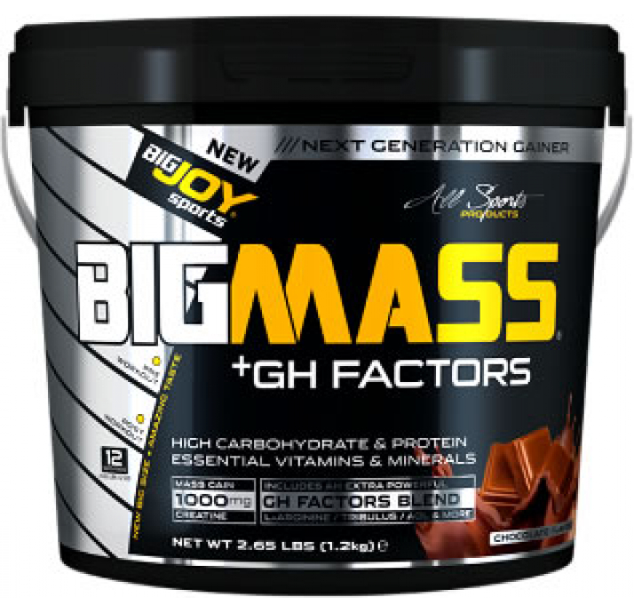 BigJoy Sports Big Mass +GH Factors 1200 Gr - Çilek Çilek 1200 Gr