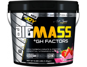 BigJoy Sports Big Mass +GH Factors 1200 Gr - Çilek