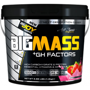 BigJoy Sports Big Mass +GH Factors 1200 Gr - Çilek Çilek 1200 Gr