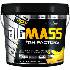 BigJoy Sports Big Mass +GH Factors 3000 Gr - Muz Muz 3000 Gr