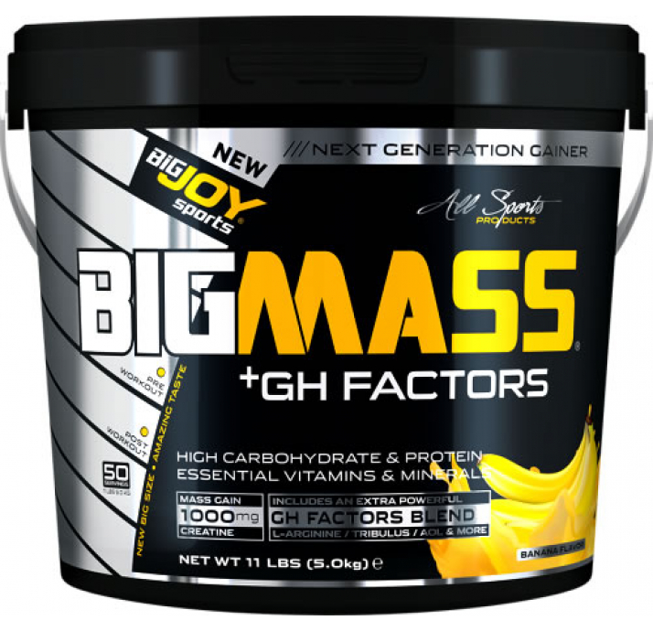 BigJoy Sports Big Mass +GH Factors 3000 Gr - Çikolata Çikolata 3000 Gr