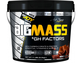 BigJoy Sports Big Mass +GH Factors 5000 Gr - Çikolata